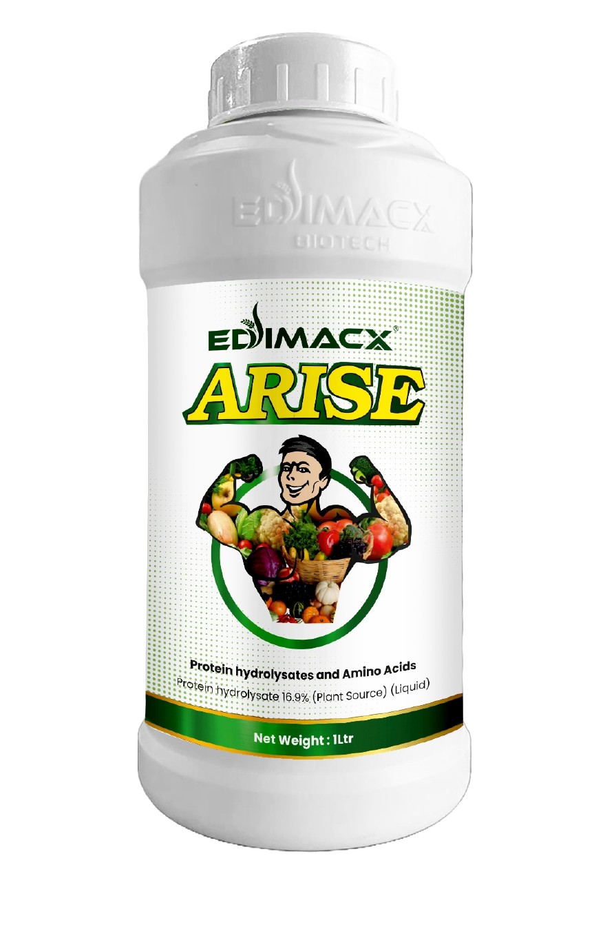 EDIMACX ARISE | ईडिमॅक्स अराईज - Image 1