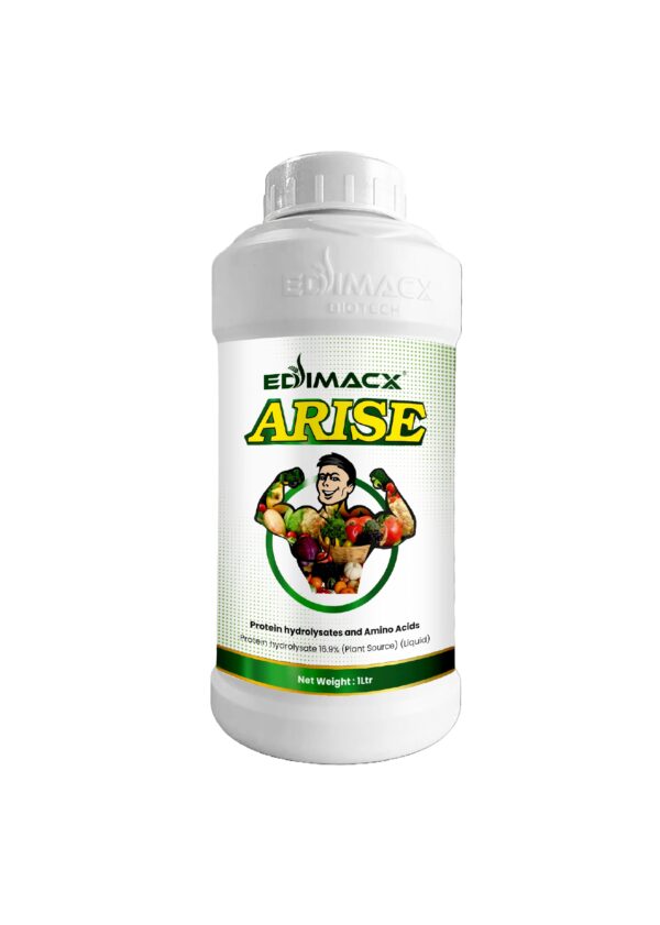 EDIMACX ARISE
