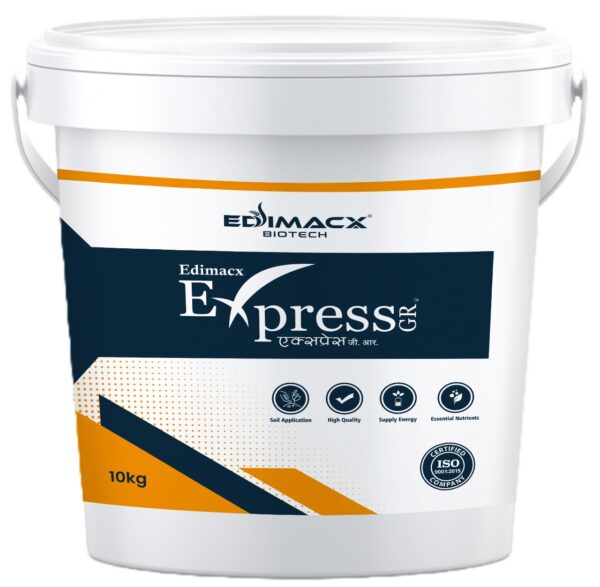 EDIMACX EXPRESS - GR