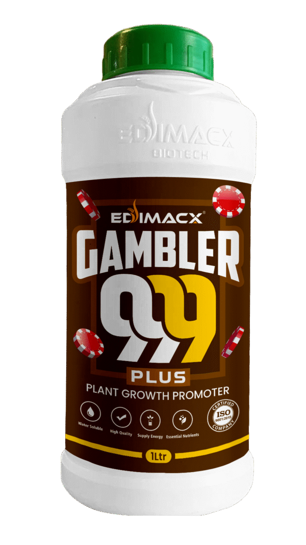 EDIMACX GAMBLER-999 PLUS