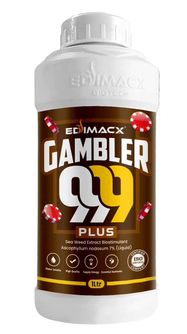 EDIMACX GAMBLER 999