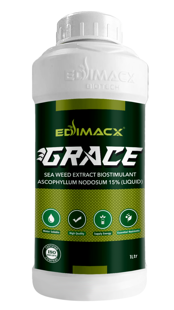 EDIMACX GRACE | ईडिमॅक्स ग्रेस