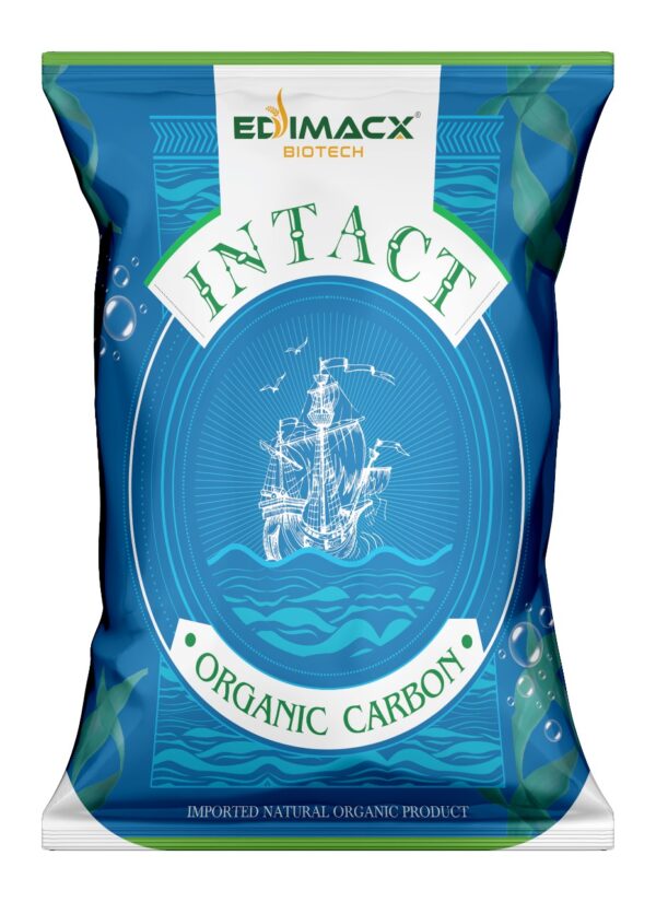 EDIMACX INTACT - P