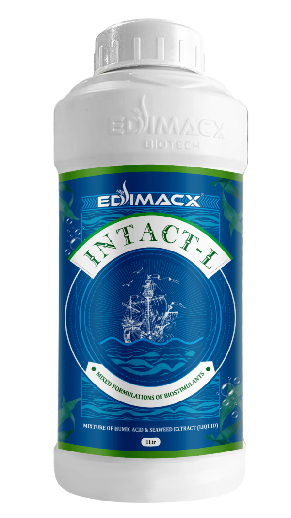 EDIMACX INTACT L