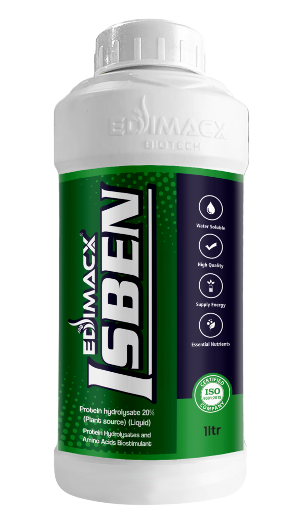 EDIMACX Isben