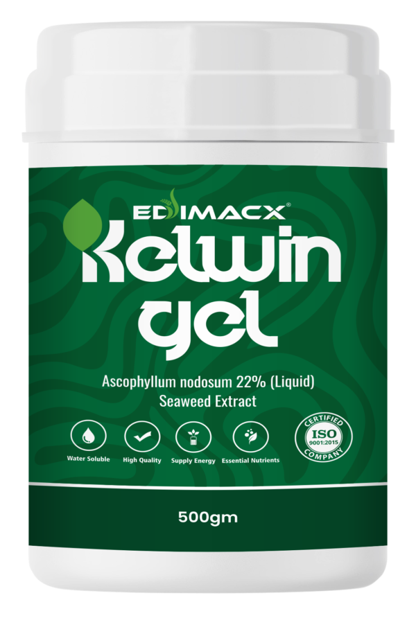 EDIMACX KELWIN GEL