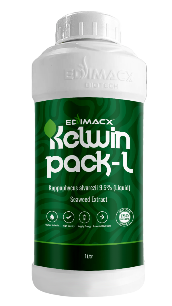 EDIMACX KELWIN PACK-L