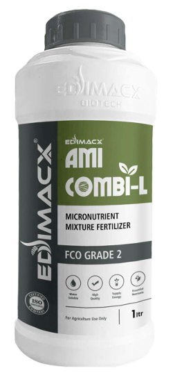 EDIMACX - AMI COMBI - L