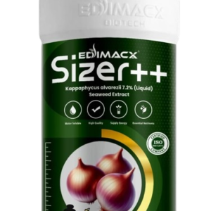 EDIMACX SIZER ++