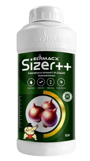 EDIMACX SIZER ++