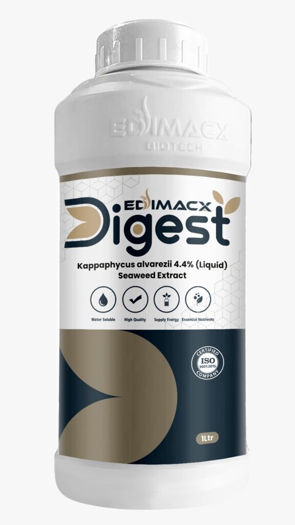 EDIMACX DIGEST L