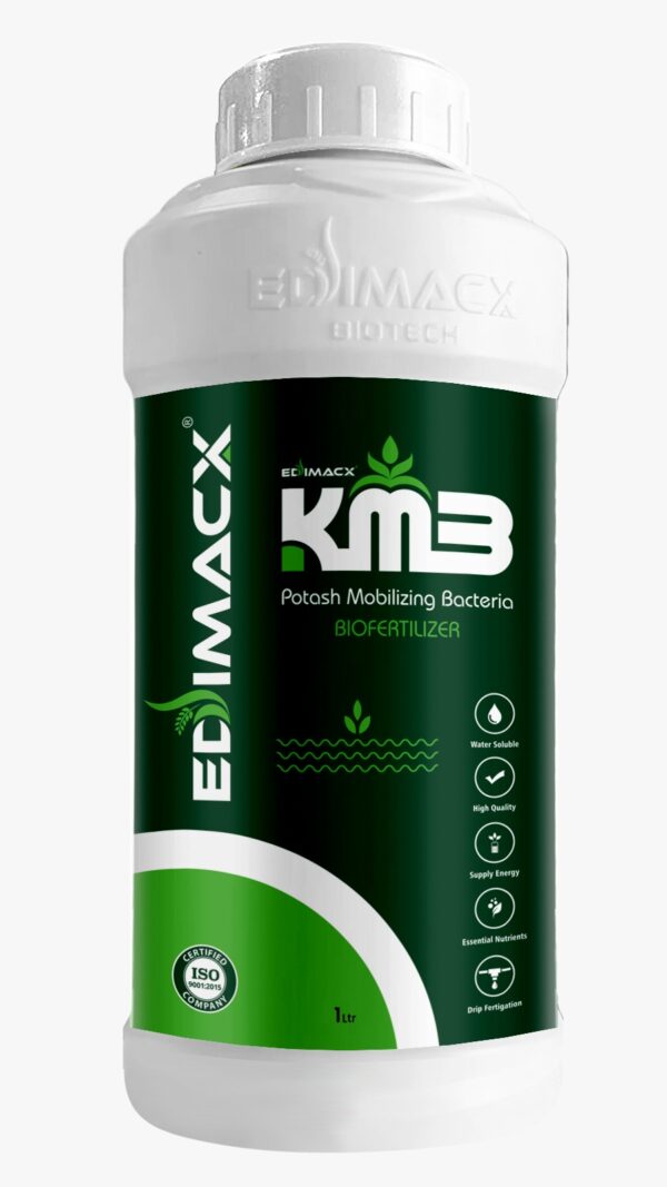 EDIMACX KMB