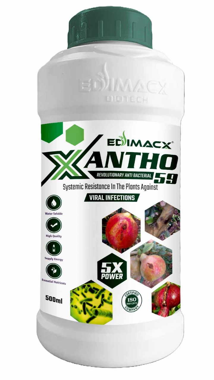 EDIMACX XANTHO 59