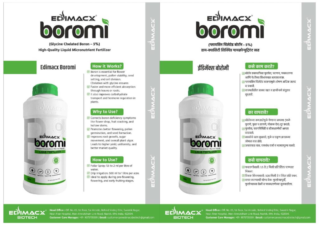 EDIMACX BOROMI | ईडिमॅक्स बोरोमी