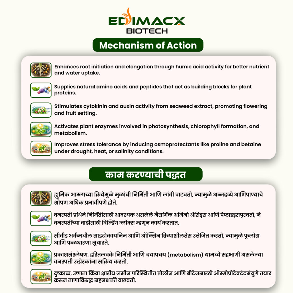 EDIMACX MULTI GROW UP | ईडिमॅक्स मल्टी ग्रो अप