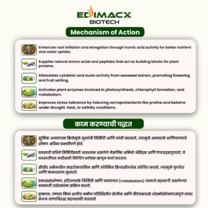 EDIMACX MULTI GROW UP | ईडिमॅक्स मल्टी ग्रो अप - Image 3
