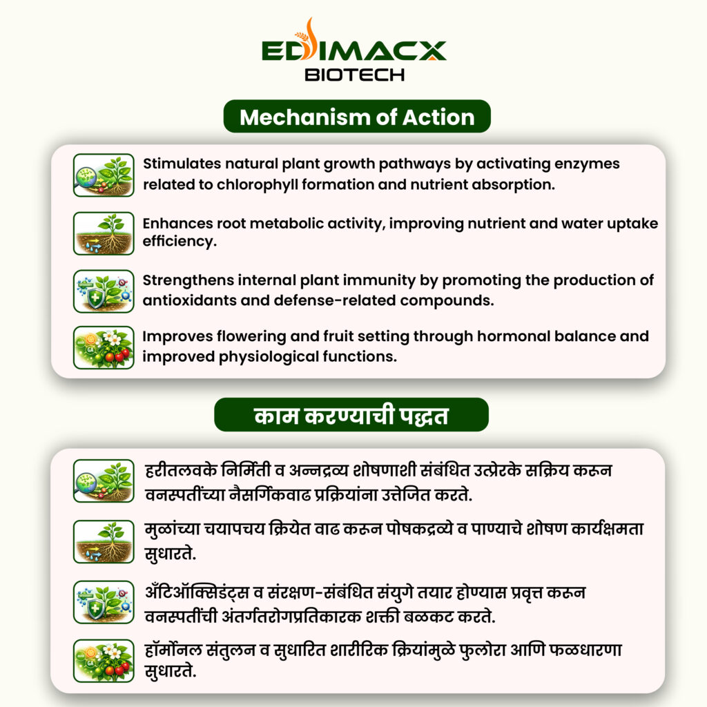EDIMACX COMPRESS | ईडीमॅक्स कॉम्प्रेस
