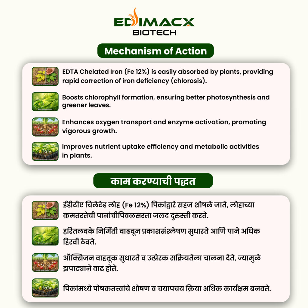 EDIMACX FE-12 | ईडीमॅक्स FE-12