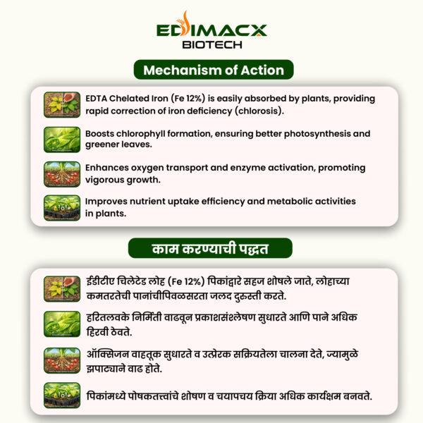 EDIMACX FE-12 | ईडीमॅक्स FE-12