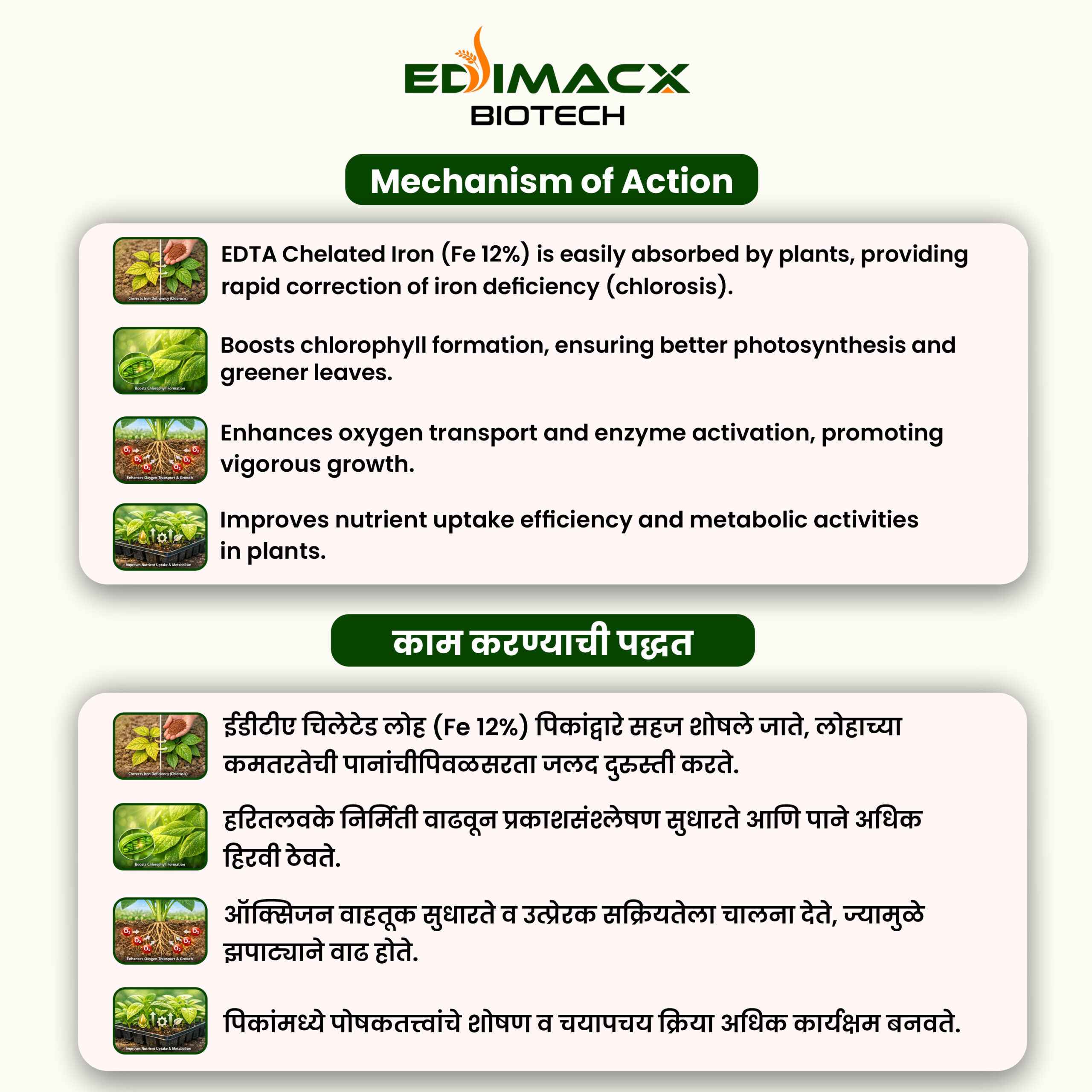 EDIMACX FE-12 | ईडीमॅक्स FE-12 - Image 3