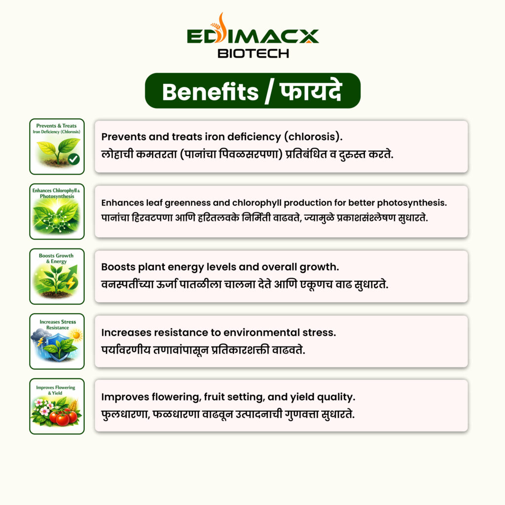 EDIMACX FE-12 | ईडीमॅक्स FE-12