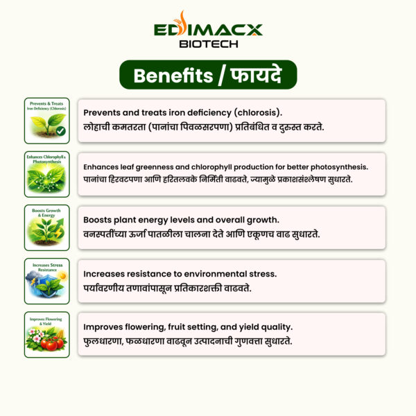 EDIMACX FE-12 | ईडीमॅक्स FE-12