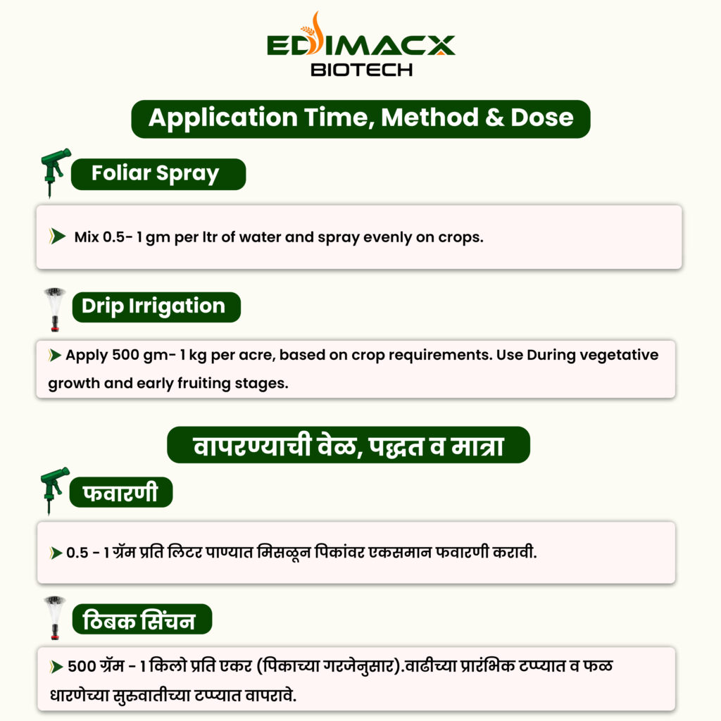 EDIMACX FE-12 | ईडीमॅक्स FE-12