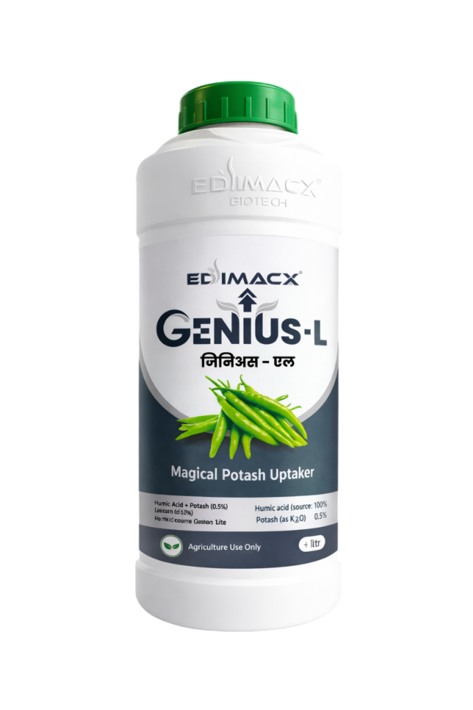 EDIMACX GENIUS-L