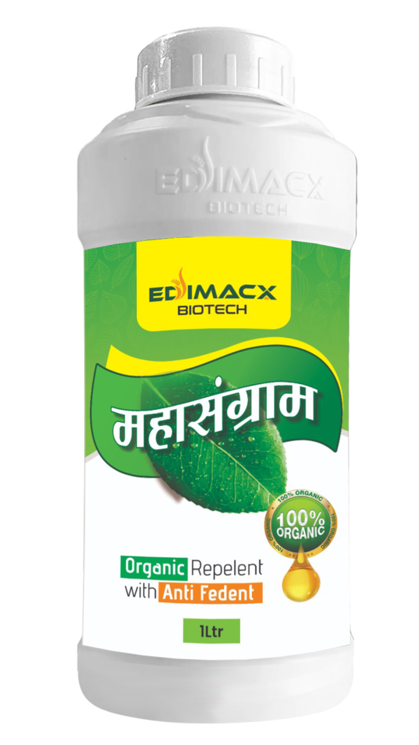 EDIMACX MAHASANGRAM